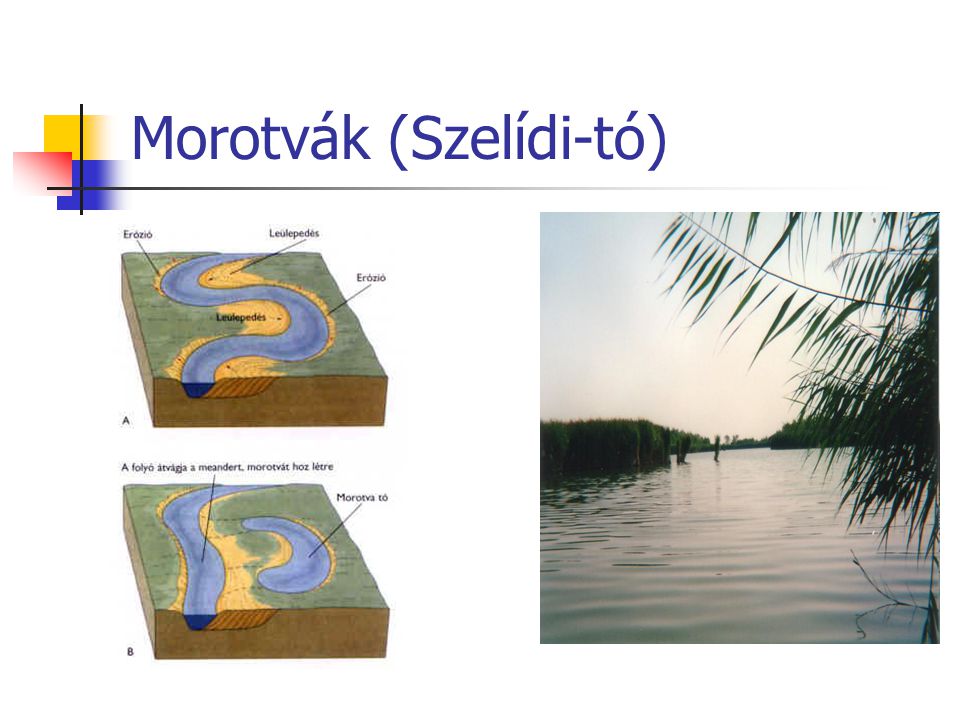 Morotvák (Szelídi-tó)