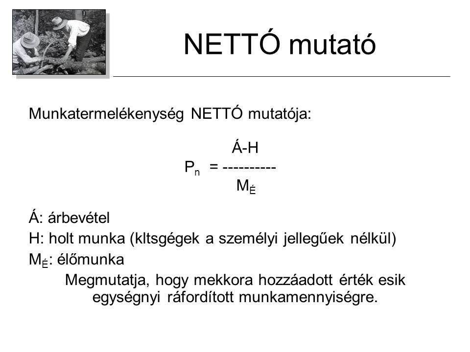NETTÓ mutató Munkatermelékenység NETTÓ mutatója: Á-H Á: árbevétel