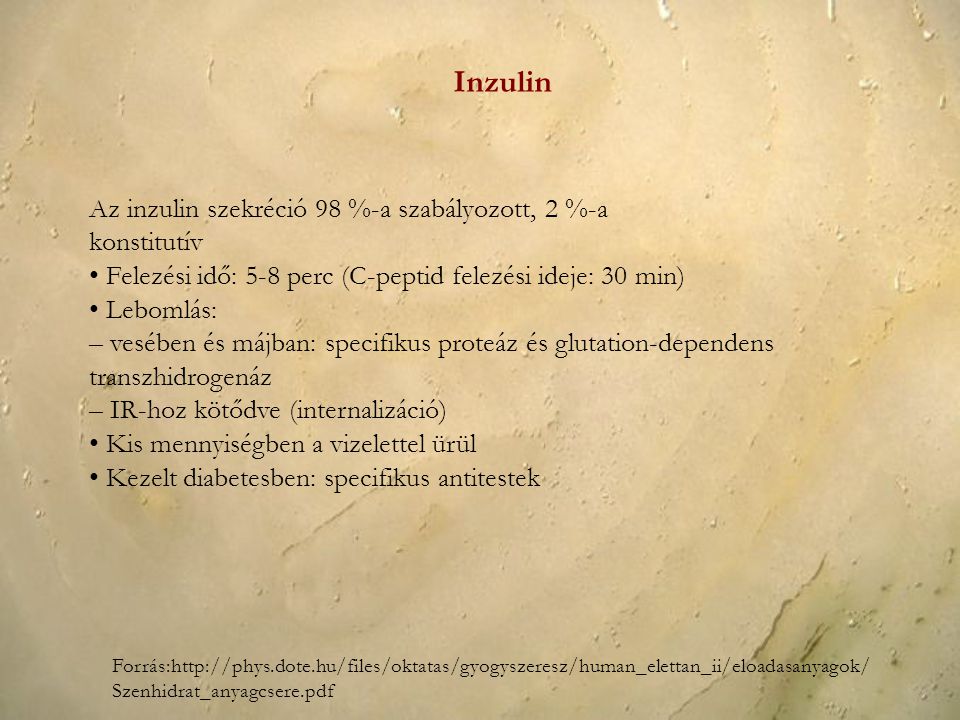 Inzulin Az inzulin szekréció 98 %-a szabályozott, 2 %-a konstitutív