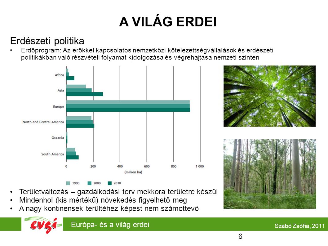 A VILÁG ERDEI Erdészeti politika