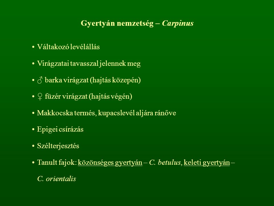 Gyertyán nemzetség – Carpinus