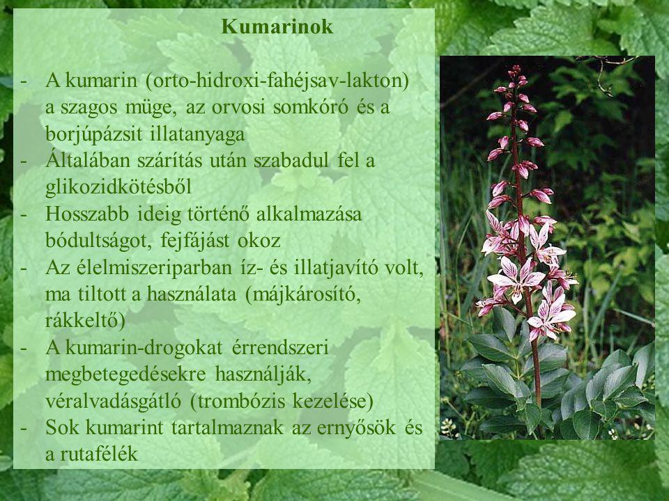 Kumarinok A kumarin (orto-hidroxi-fahéjsav-lakton) a szagos müge, az orvosi somkóró és a borjúpázsit illatanyaga.