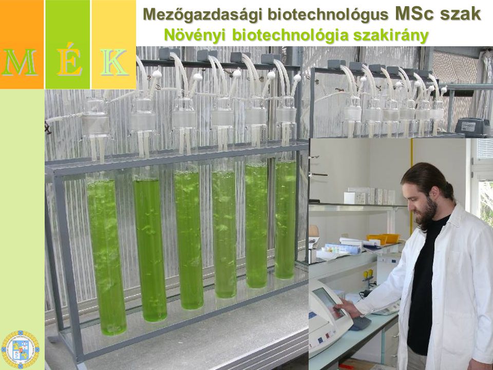 Mezőgazdasági biotechnológus MSc szak Növényi biotechnológia szakirány