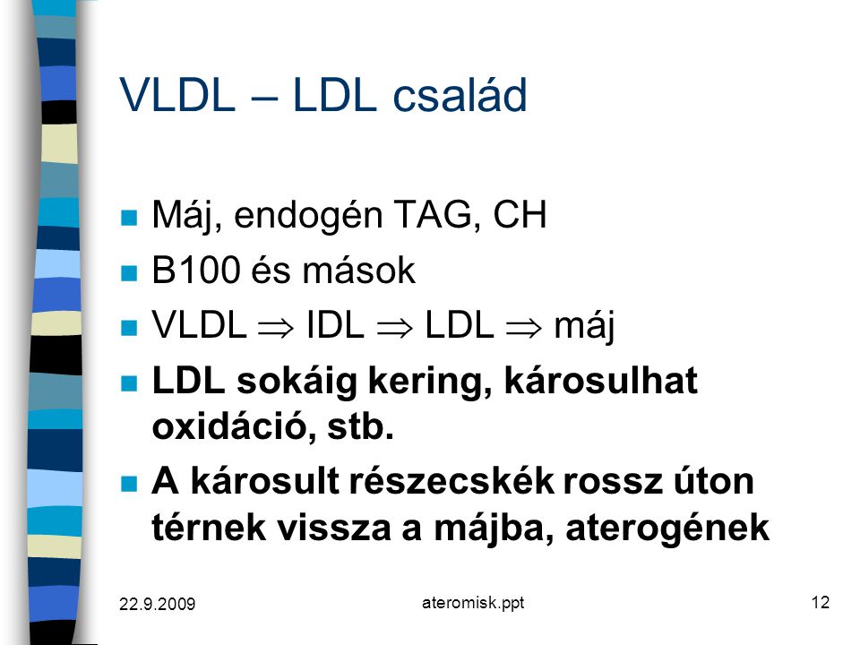 VLDL – LDL család Máj, endogén TAG, CH B100 és mások