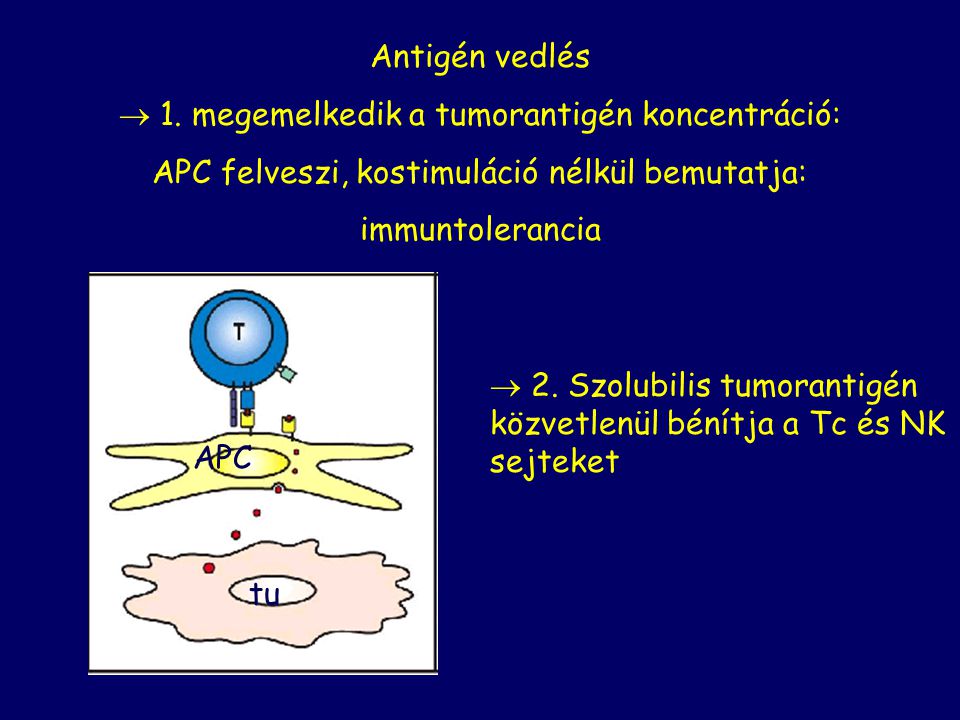  1. megemelkedik a tumorantigén koncentráció: