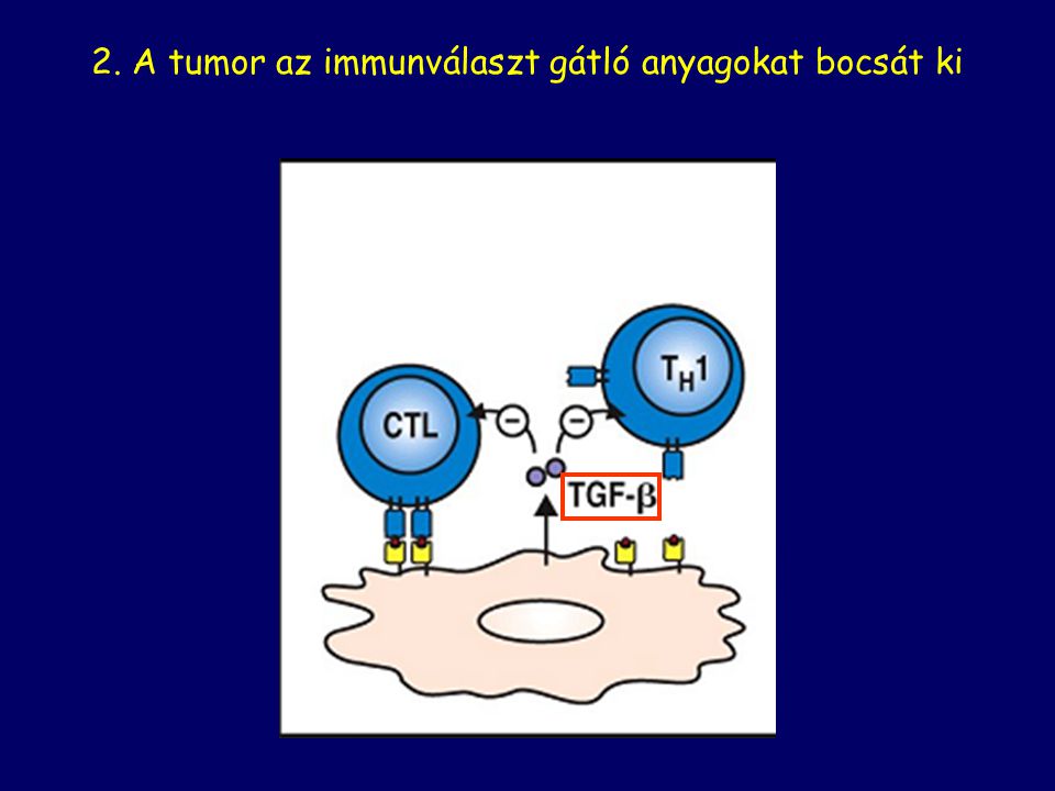 2. A tumor az immunválaszt gátló anyagokat bocsát ki