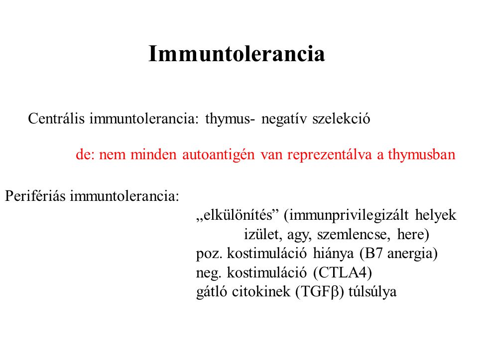Immuntolerancia Centrális immuntolerancia: thymus- negatív szelekció
