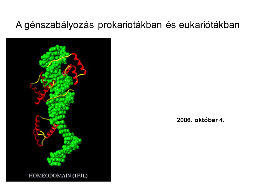 A génszabályozás prokariotákban és eukariótákban