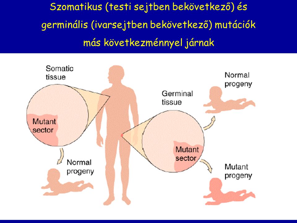 Szomatikus (testi sejtben bekövetkező) és
