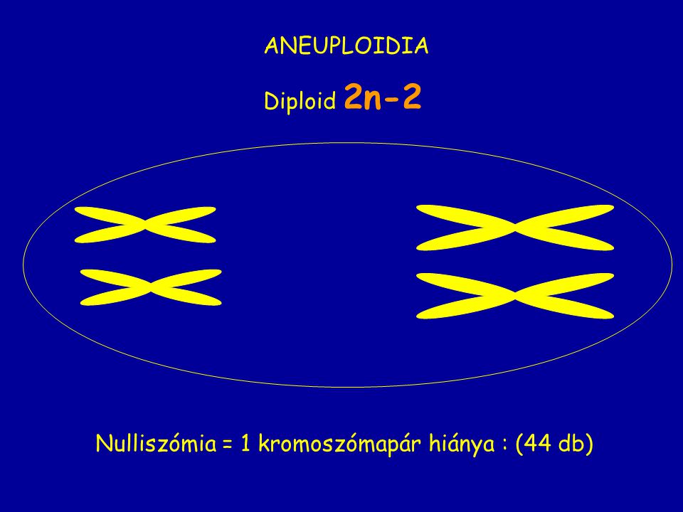 Nulliszómia = 1 kromoszómapár hiánya : (44 db)
