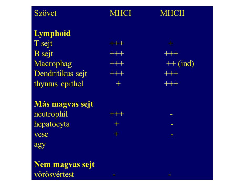 Szövet MHCI MHCII Lymphoid. T sejt B sejt Macrophag (ind)