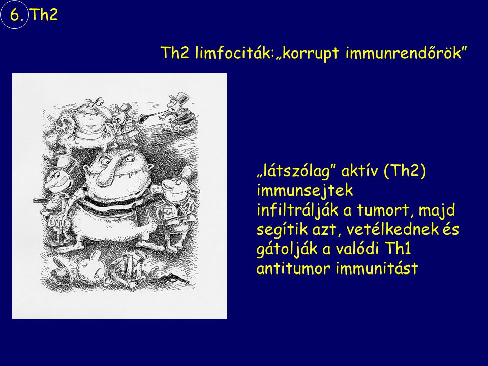 6. Th2 Th2 limfociták:„korrupt immunrendőrök „látszólag aktív (Th2) immunsejtek. infiltrálják a tumort, majd.