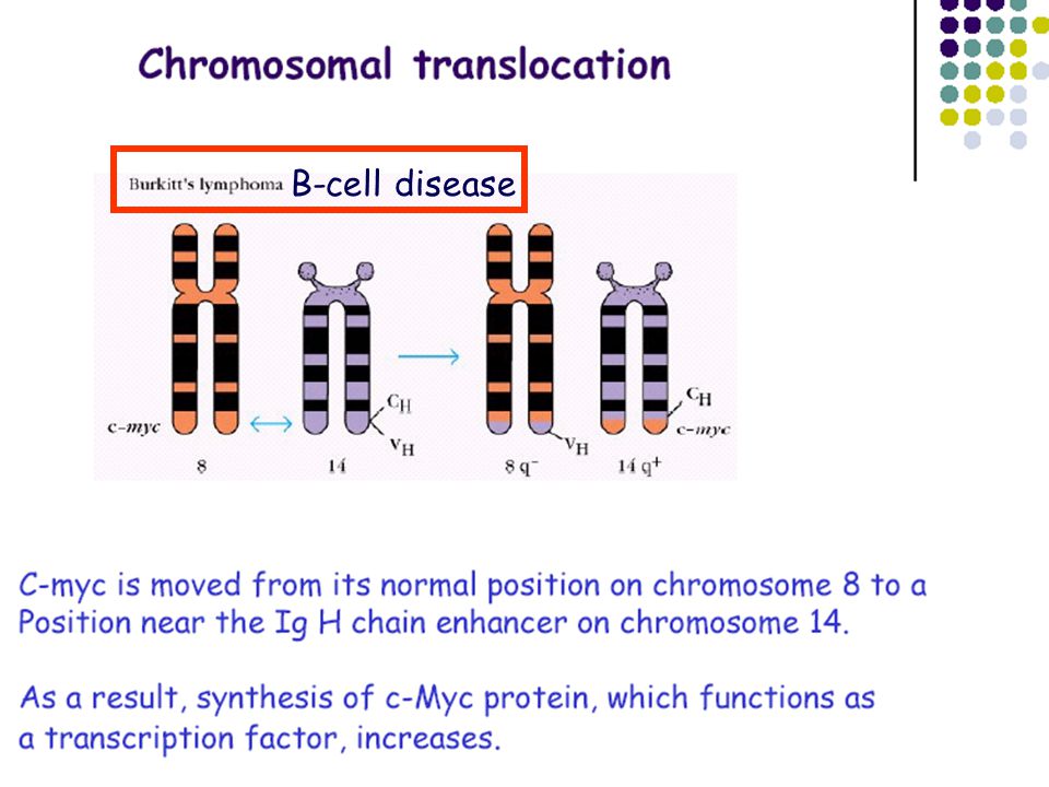 B-cell disease