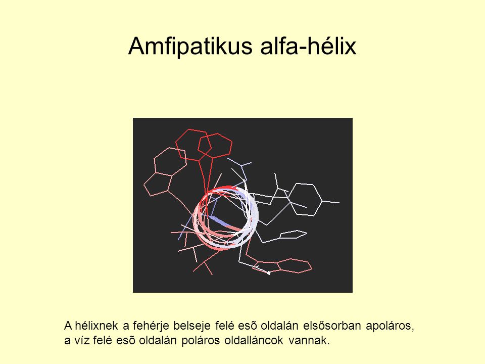 Amfipatikus alfa-hélix