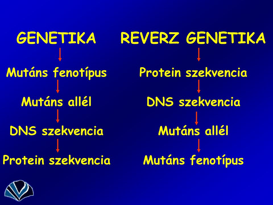 GENETIKA REVERZ GENETIKA