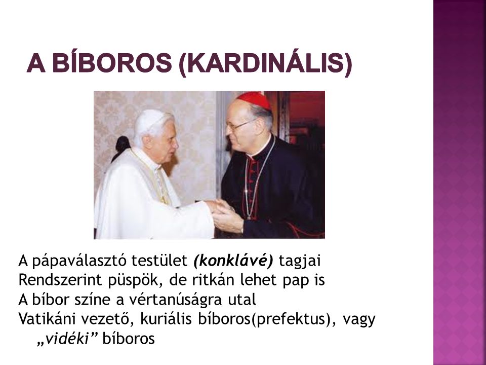 A bíboros (kardinális)