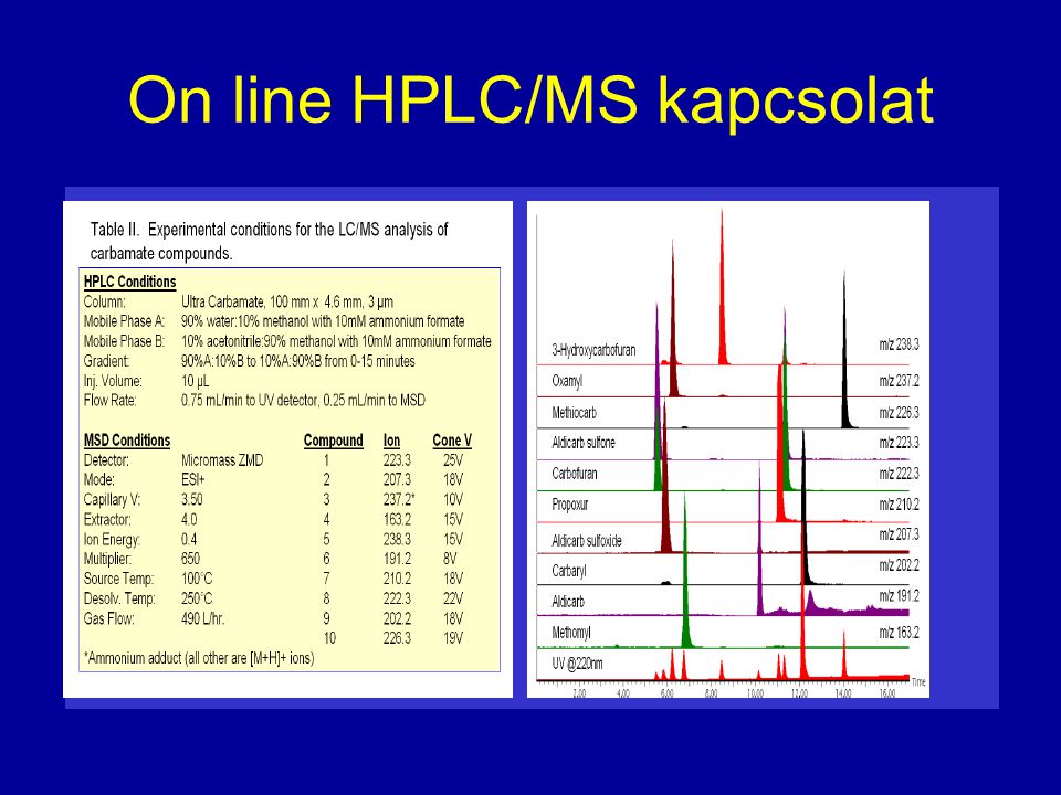 On line HPLC/MS kapcsolat