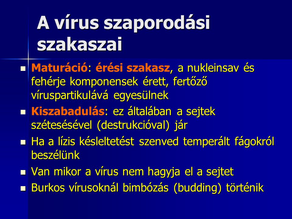 A vírus szaporodási szakaszai