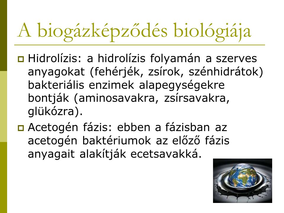 A biogázképződés biológiája