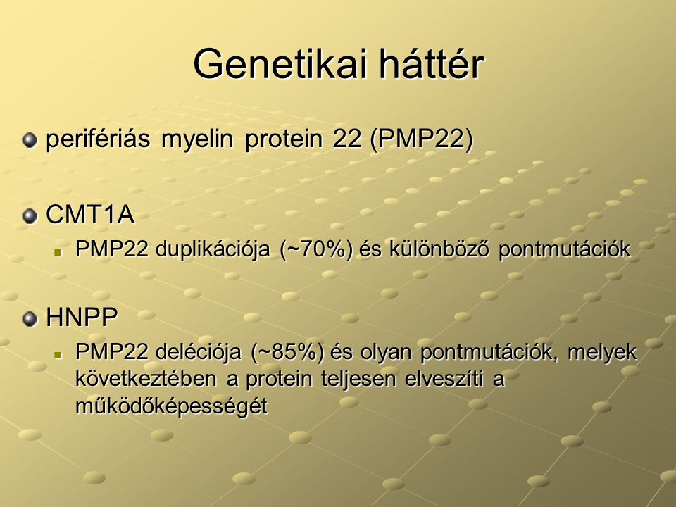 Genetikai háttér perifériás myelin protein 22 (PMP22) CMT1A HNPP