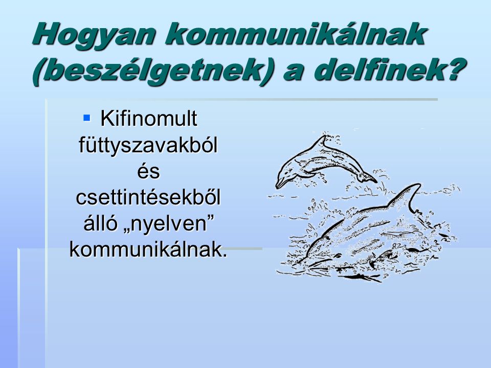 Hogyan kommunikálnak (beszélgetnek) a delfinek