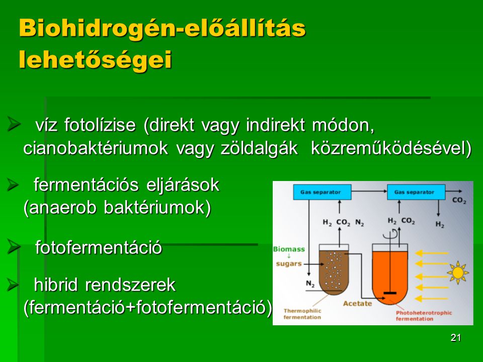 Biohidrogén-előállítás lehetőségei
