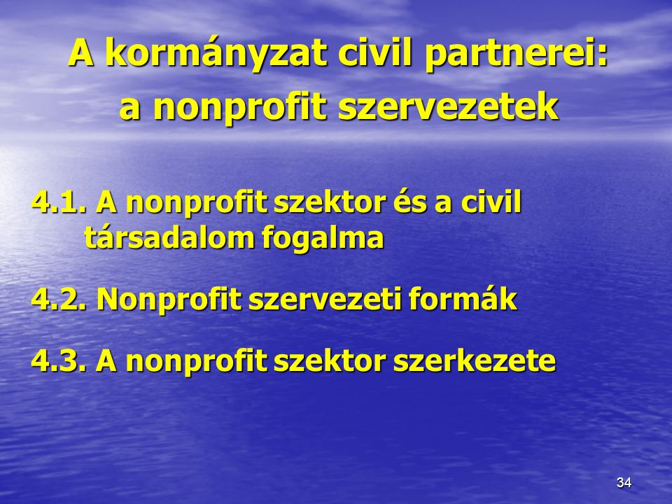 A kormányzat civil partnerei: a nonprofit szervezetek