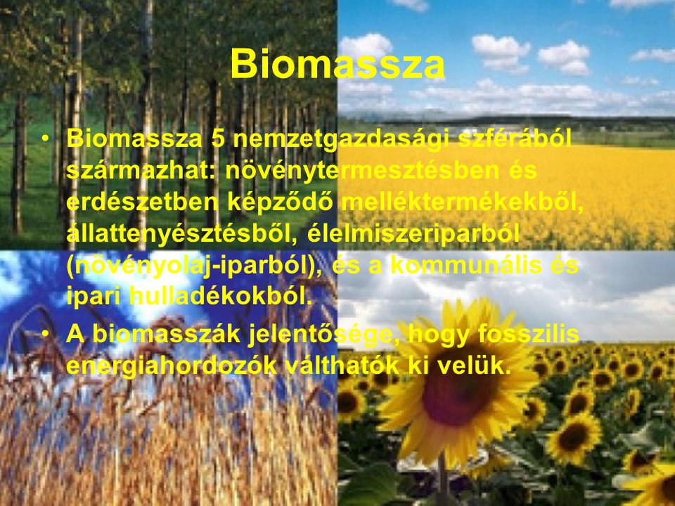 Biomassza