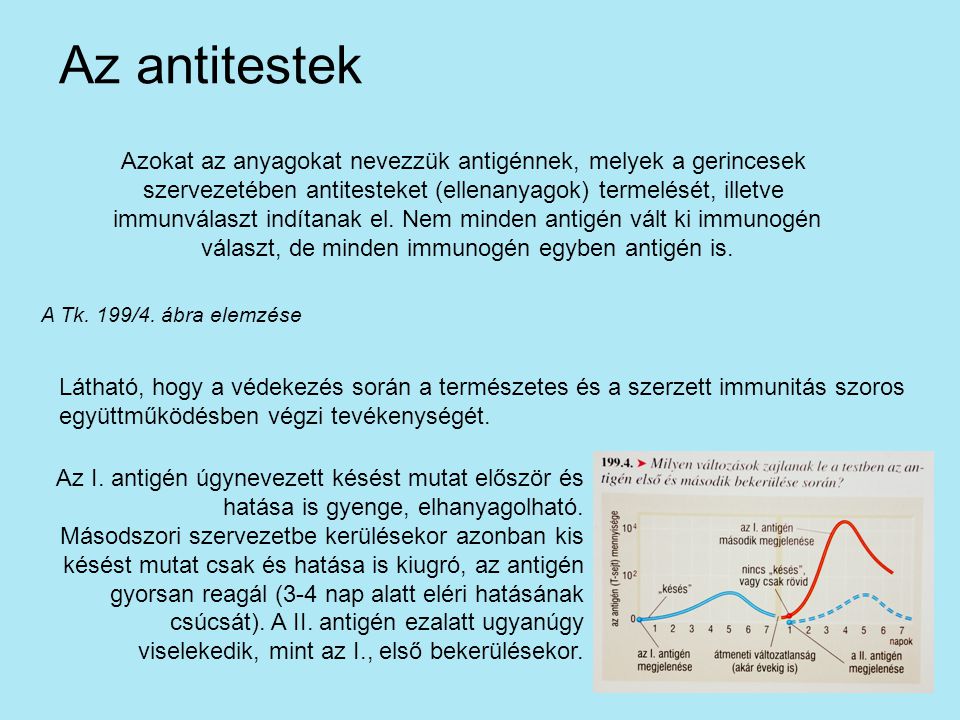 Az antitestek Azokat az anyagokat nevezzük antigénnek, melyek a gerincesek. szervezetében antitesteket (ellenanyagok) termelését, illetve.