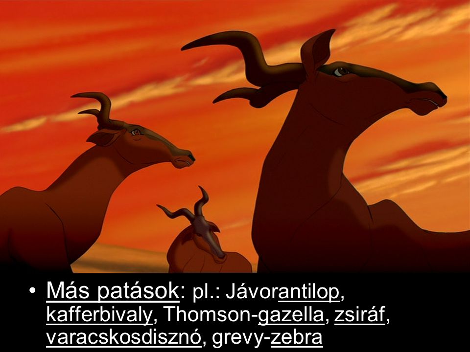 Más patások: pl.: Jávorantilop, kafferbivaly, Thomson-gazella, zsiráf, varacskosdisznó, grevy-zebra
