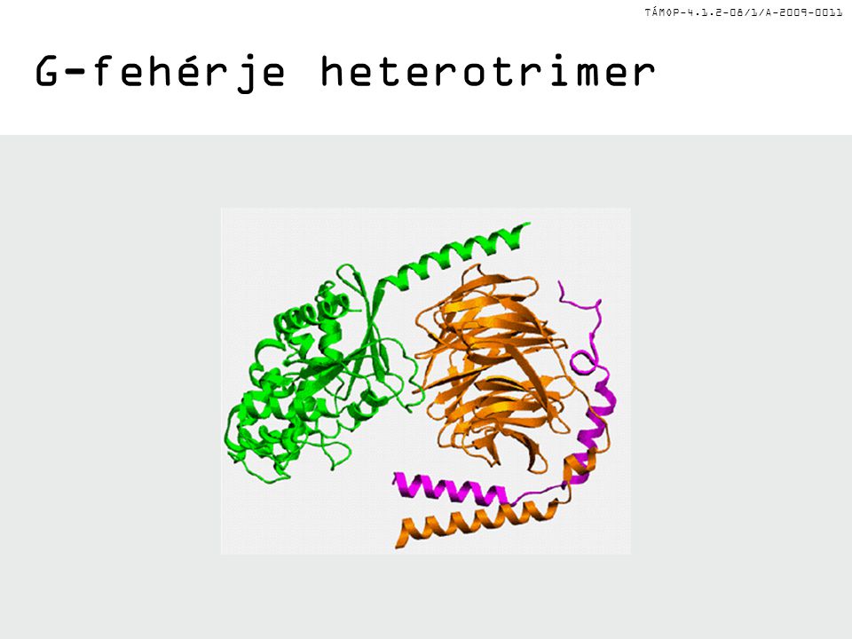 G-fehérje heterotrimer