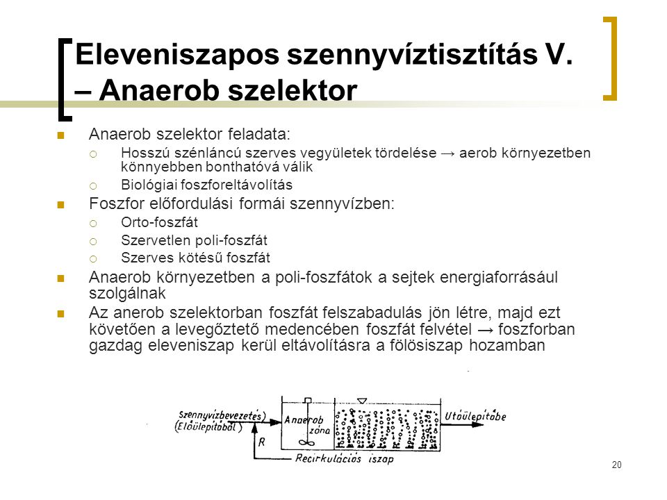 Eleveniszapos szennyvíztisztítás V. – Anaerob szelektor
