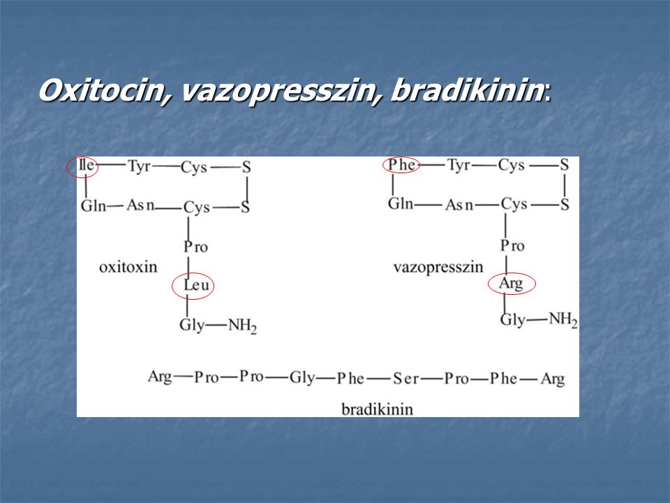 Oxitocin, vazopresszin, bradikinin: