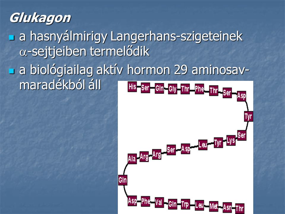 Glukagon a hasnyálmirigy Langerhans-szigeteinek -sejtjeiben termelődik.