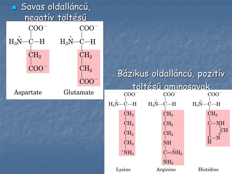 Savas oldalláncú, negatív töltésű aminosavak