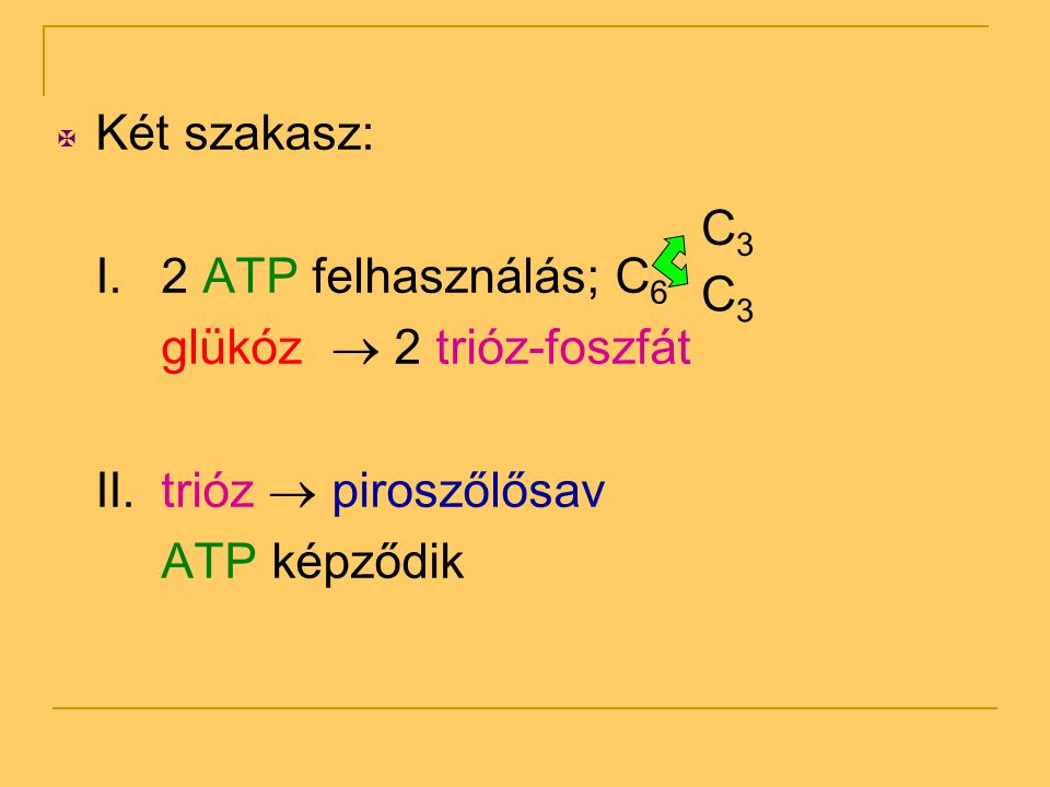 Két szakasz: I. 2 ATP felhasználás; C6. glükóz  2 trióz-foszfát. II. trióz  piroszőlősav. ATP képződik.