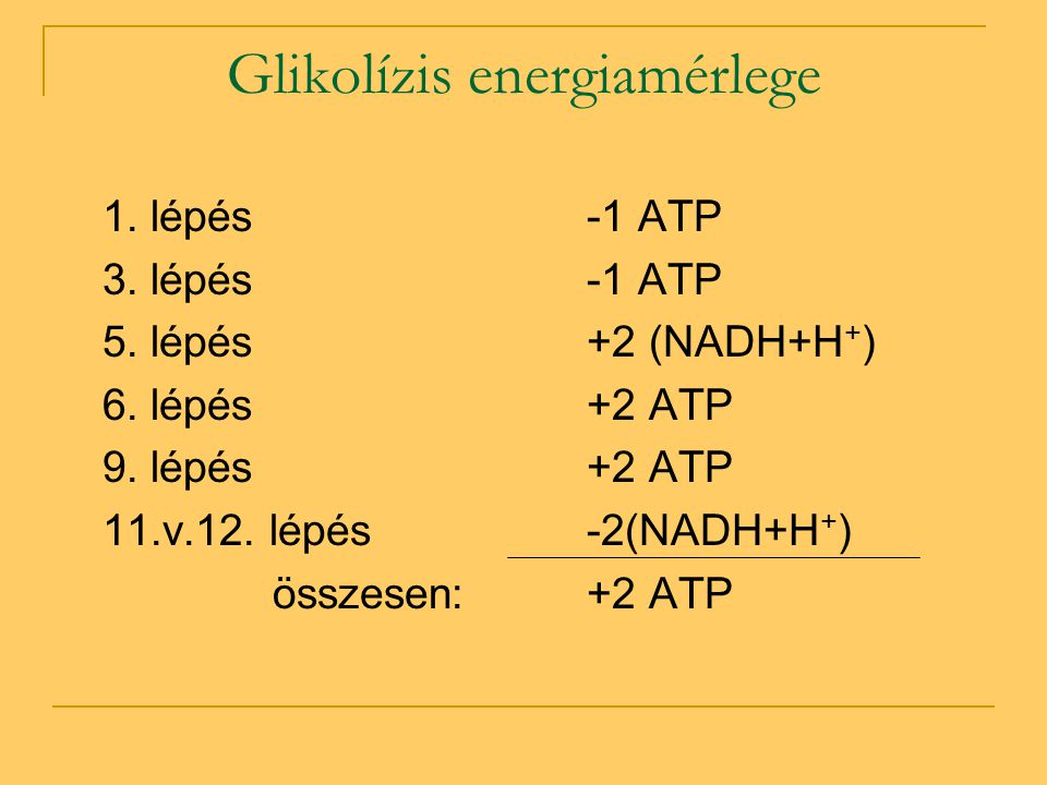 Glikolízis energiamérlege