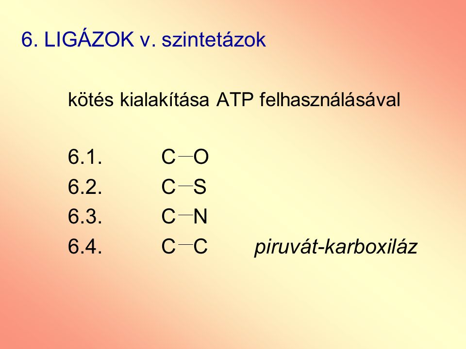 6. LIGÁZOK v. szintetázok kötés kialakítása ATP felhasználásával C O C S C N.