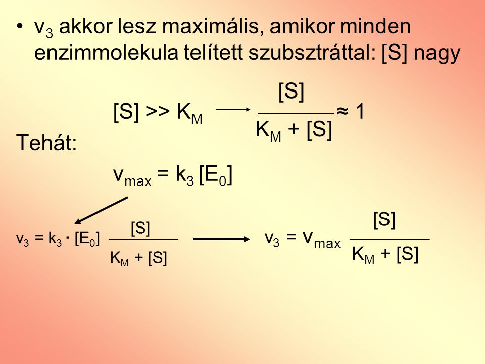 v3 akkor lesz maximális, amikor minden enzimmolekula telített szubsztráttal: [S] nagy