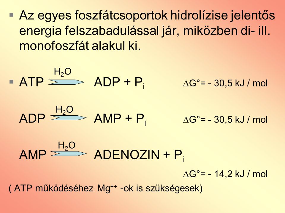 ATP ADP + Pi G°= - 30,5 kJ / mol ADP AMP + Pi G°= - 30,5 kJ / mol