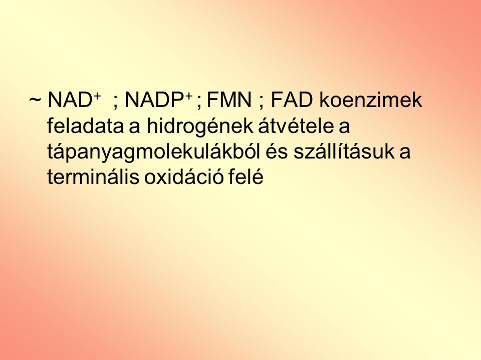 ~ NAD+ ; NADP+ ; FMN ; FAD koenzimek feladata a hidrogének átvétele a tápanyagmolekulákból és szállításuk a terminális oxidáció felé