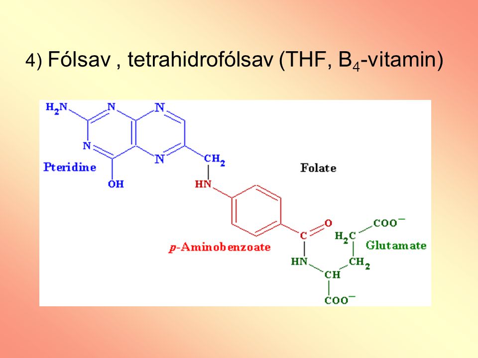 4) Fólsav , tetrahidrofólsav (THF, B4-vitamin)