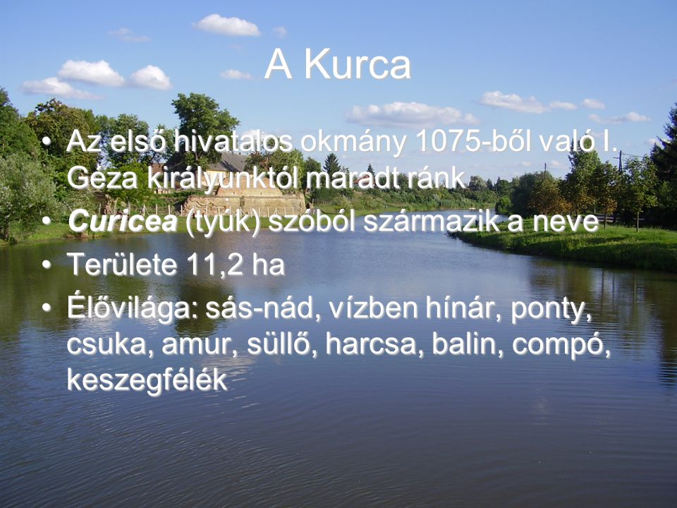 A Kurca Az első hivatalos okmány 1075-ből való I. Géza királyunktól maradt ránk. Curicea (tyúk) szóból származik a neve.