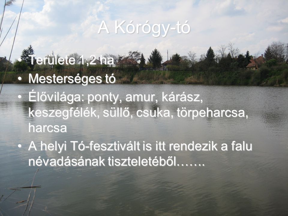 A Kórógy-tó Területe 1,2 ha Mesterséges tó