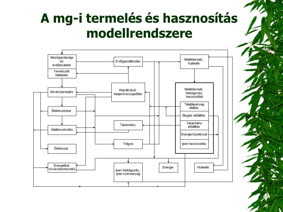 A mg-i termelés és hasznosítás modellrendszere