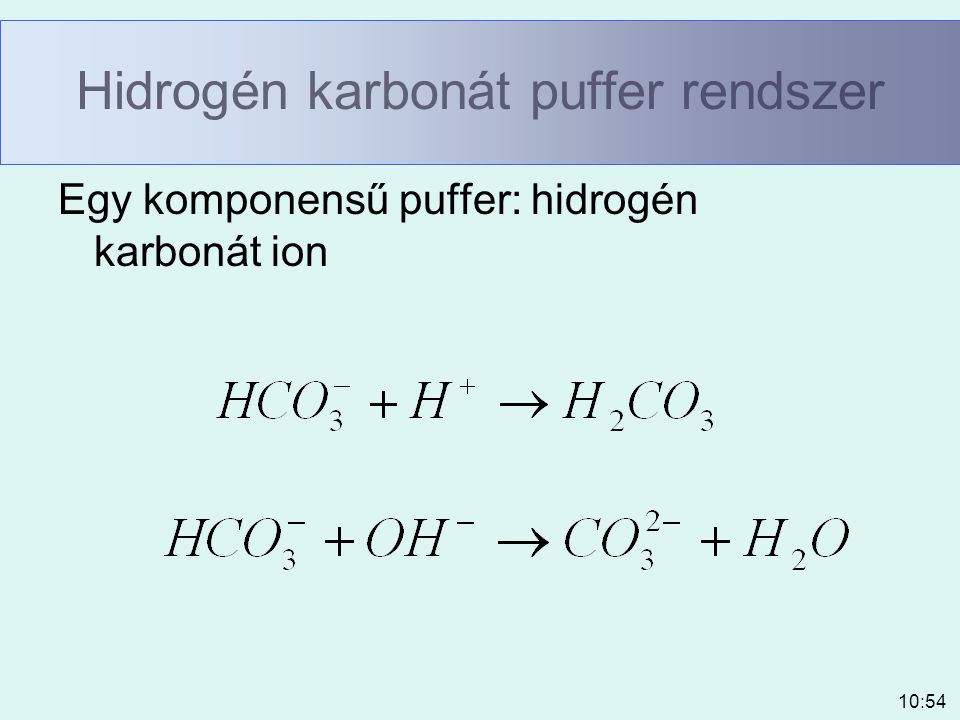 Hidrogén karbonát puffer rendszer