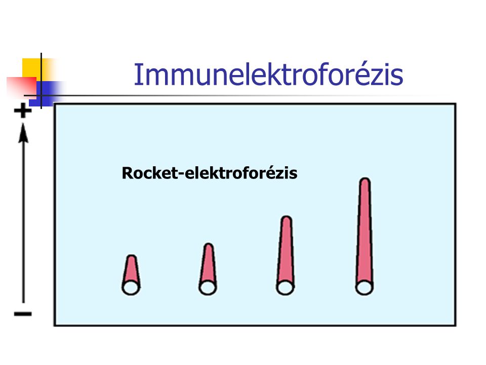Immunelektroforézis Rocket-elektroforézis