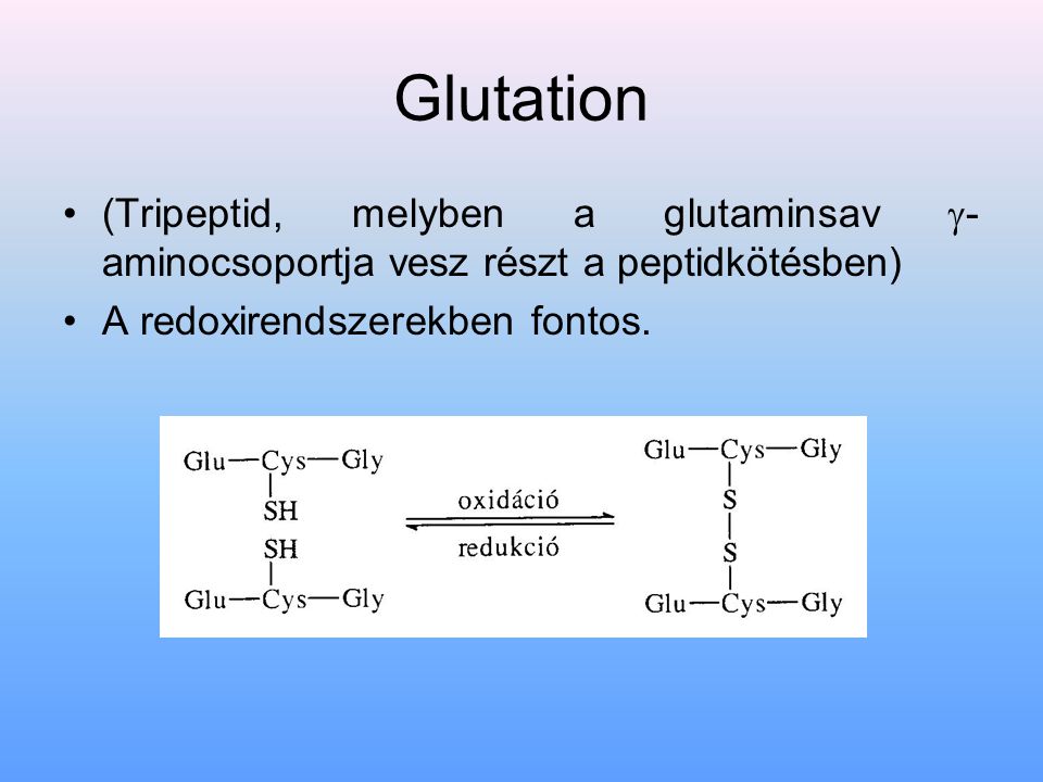Glutation (Tripeptid, melyben a glutaminsav -aminocsoportja vesz részt a peptidkötésben) A redoxirendszerekben fontos.