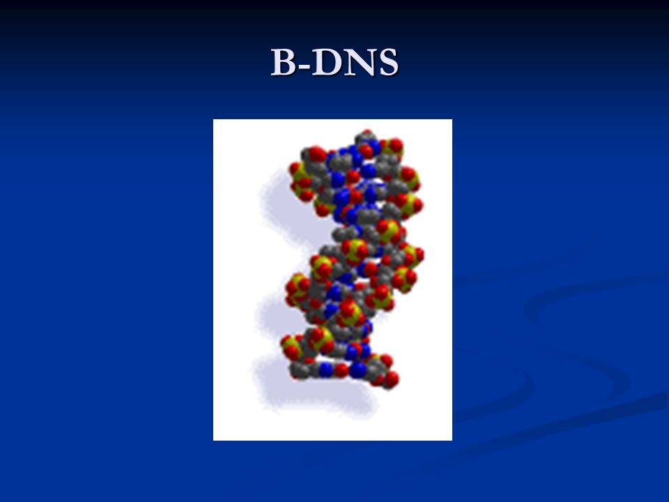 B-DNS
