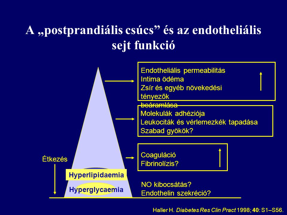 A „postprandiális csúcs és az endotheliális sejt funkció
